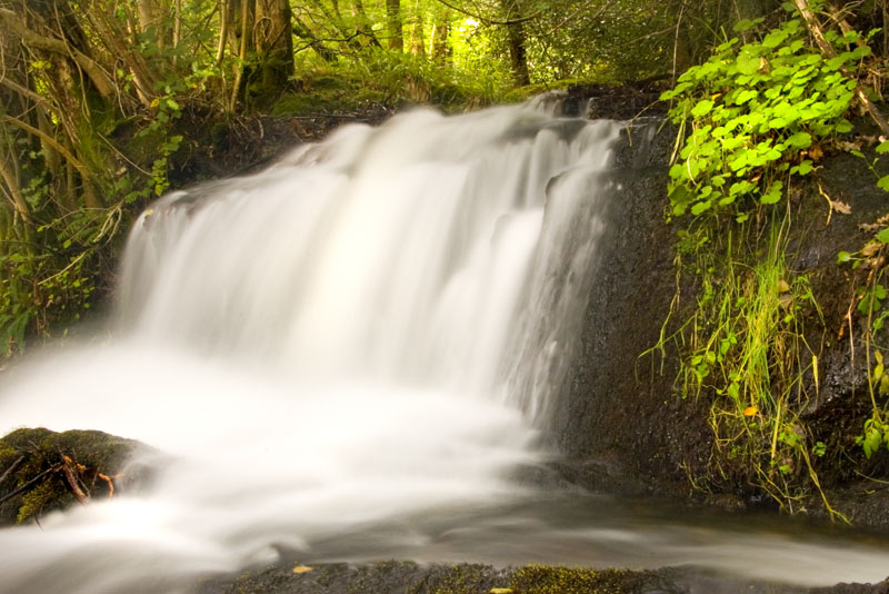 To save this picture as Windows Wallpaper - right click it - then select "Set as Background"